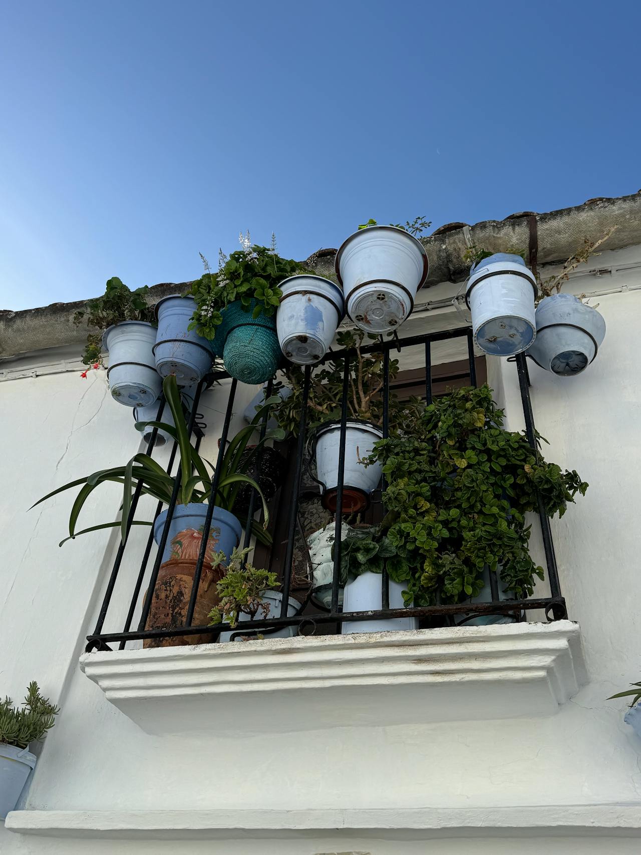 Waarom een overkapping een slimme investering is